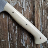 NORA #1424 - 7.5' AEB-L Stainless Kiritsuke - Ivory Juma