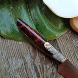 NORA #1438 - 3.5' Paring - Red Shokwood