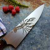 NORA 8.5" Chef #1048 - Rock Lobster