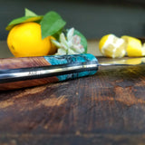 NORA #1141 - Teal Kiritsuke - AEB-L Stainless