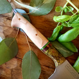 NORA #1249 - Multi-Maple Nakiri