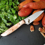 BF2019 - NORA #1613 - 3.5" Paring Knife - Quilted Maple