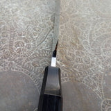 NORA #1645 - 10" Sakimaru Takohiki - 01 Carbon Steel