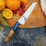 NORA #1661 - 7 Inch Line Slayer - The Bronx Seal (ne cede malis)