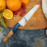 NORA #1661 - 7 Inch Line Slayer - The Bronx Seal (ne cede malis)