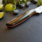 NORA #1677 - 3.5" Paring Knife - 2020
