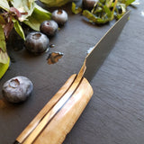 NORA #1675 - 3.5" Paring Knife - Bones